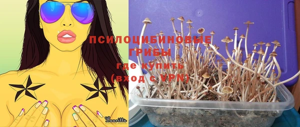 каннабис Покачи