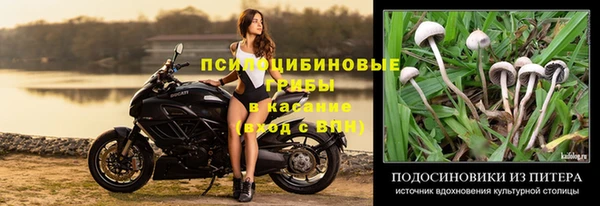 каннабис Покачи