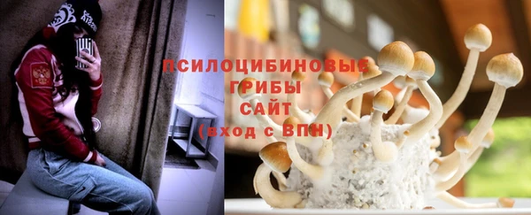 ГАЛЛЮЦИНОГЕННЫЕ ГРИБЫ Переславль-Залесский