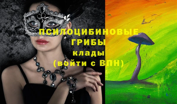 ГАЛЛЮЦИНОГЕННЫЕ ГРИБЫ Переславль-Залесский