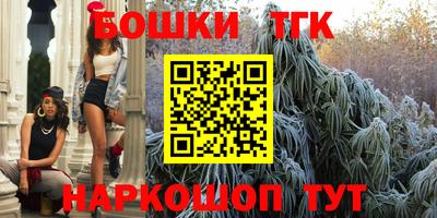 тгк Лесосибирск
