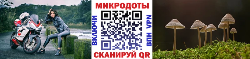 где купить наркоту  kraken зеркало  Галлюциногенные грибы Cubensis  Усинск 